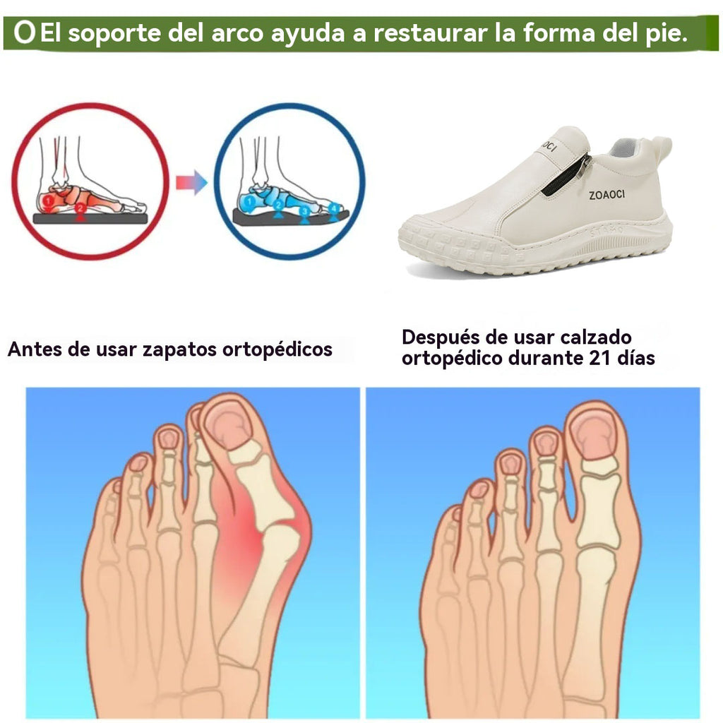 Coesses® | 50% de descuento solo hoy 👞 Fabricadas en piel de vacuno de alta calidad, cómodas para caminar todo el día
