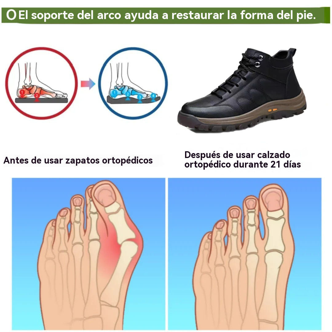 Coesses® | Botines de piel de becerro italiana, suaves y cómodos. Disponibles también en versión felpa.