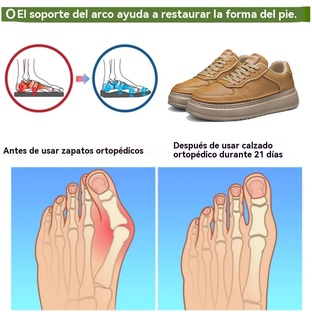 coesses® | Nuevo producto en el mercado, a mitad de precio por tiempo limitado. Diseño ergonómico, excelente amortiguación y corrección de la marcha