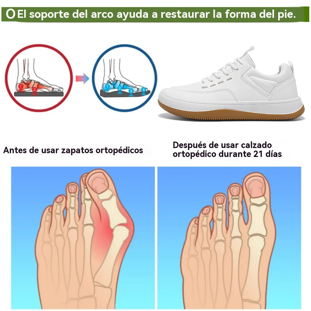 coesses® | Nuevo producto en el mercado, a mitad de precio por tiempo limitado. Diseño ergonómico, excelente amortiguación y corrección de la marcha（副本）